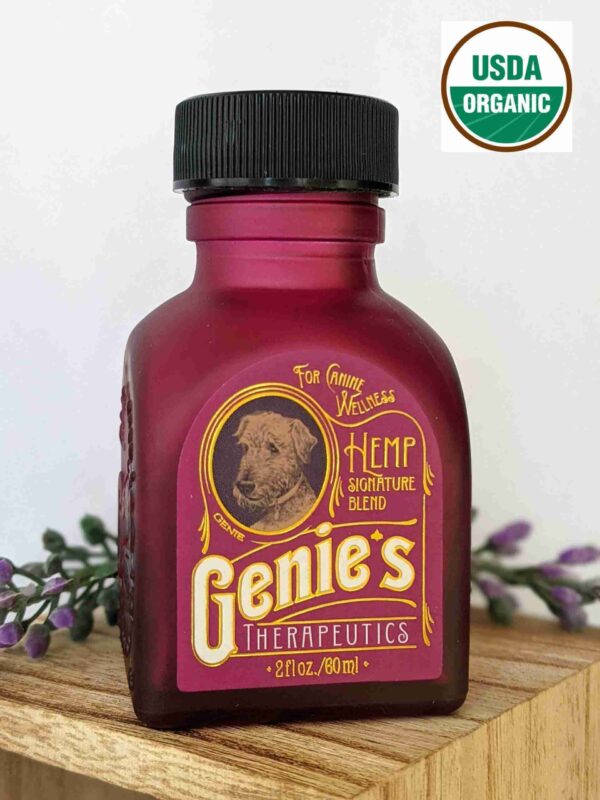 Genie Bottle Pro